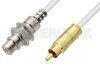 75 Ohm RCA Male to 75 Ohm RCA Female Bulkhead Cable Using 75 Ohm PE-B159-WH White Coax